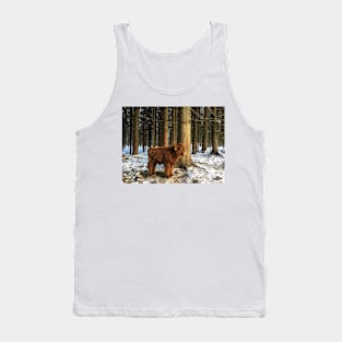 Scottish Highland Cattle Calf 1641 Tank Top